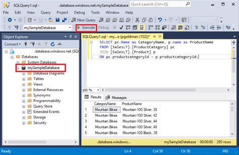 Execute a SQL statement on a database connection. — query.